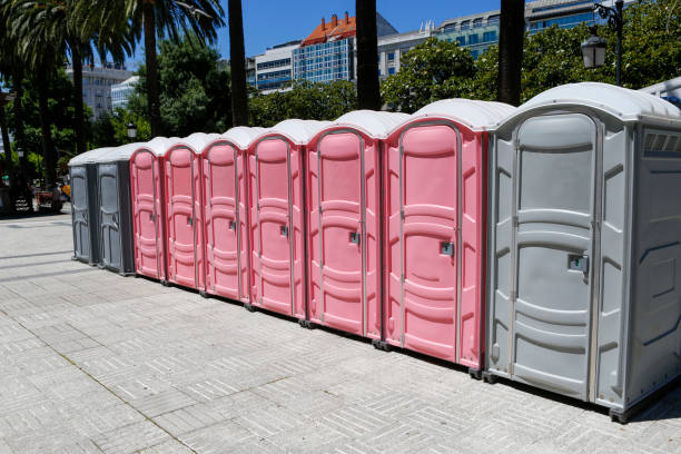 Best Standard Portable Toilet Rental  in Conestee, SC